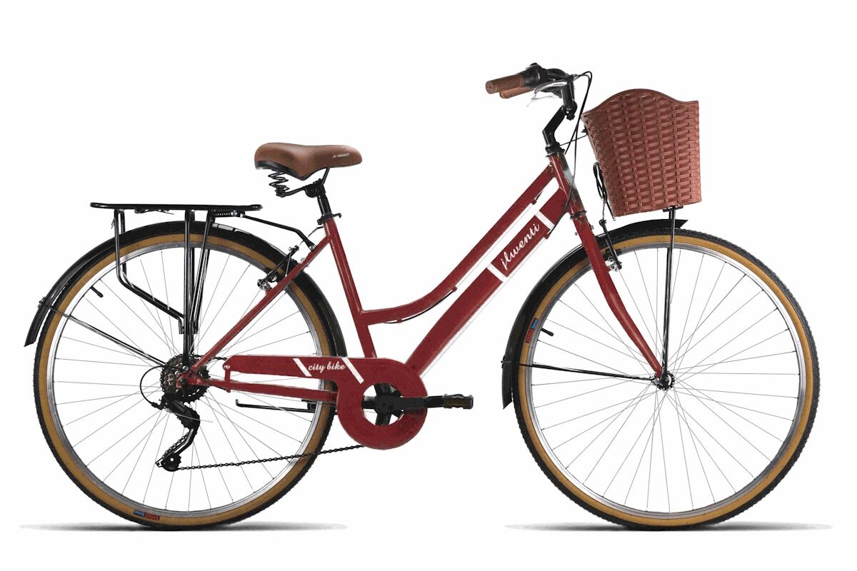 Bici urbana JL Wenti 26" con cuadro de acero, Shimano RevoShift 6V, frenos V‑brake y llantas de aluminio. Incluye portabultos, guardabarros, pata de cabra y cesta delantera. Confort y estilo para la ciudad.