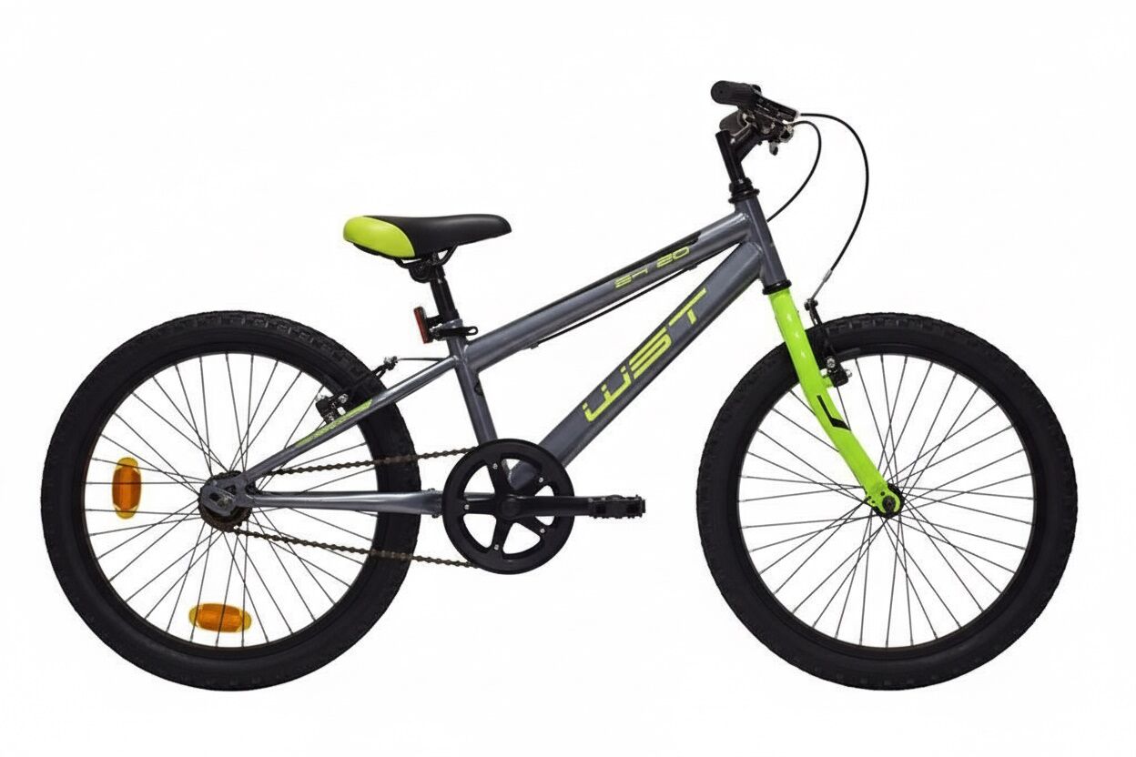 Bici infantil WST 20" 1V color gris acero. V‑Brake aluminio, ruedas WST con cierre rápido, caballete y catadióptricos