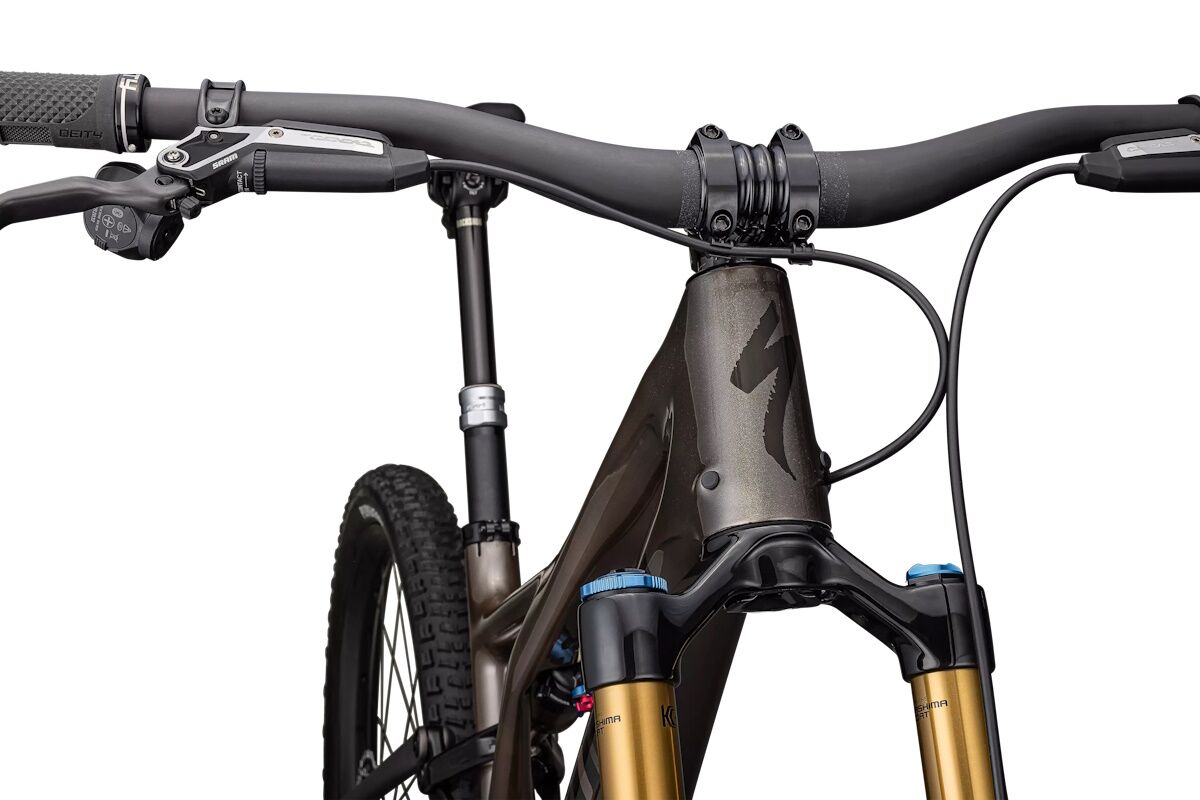 Specialized S-Works Stumpjumper 2023 – Oportunidad modelo anterior | Carbono, FOX Factory, SRAM XX AXS, Trail definitiva - Imagen 4