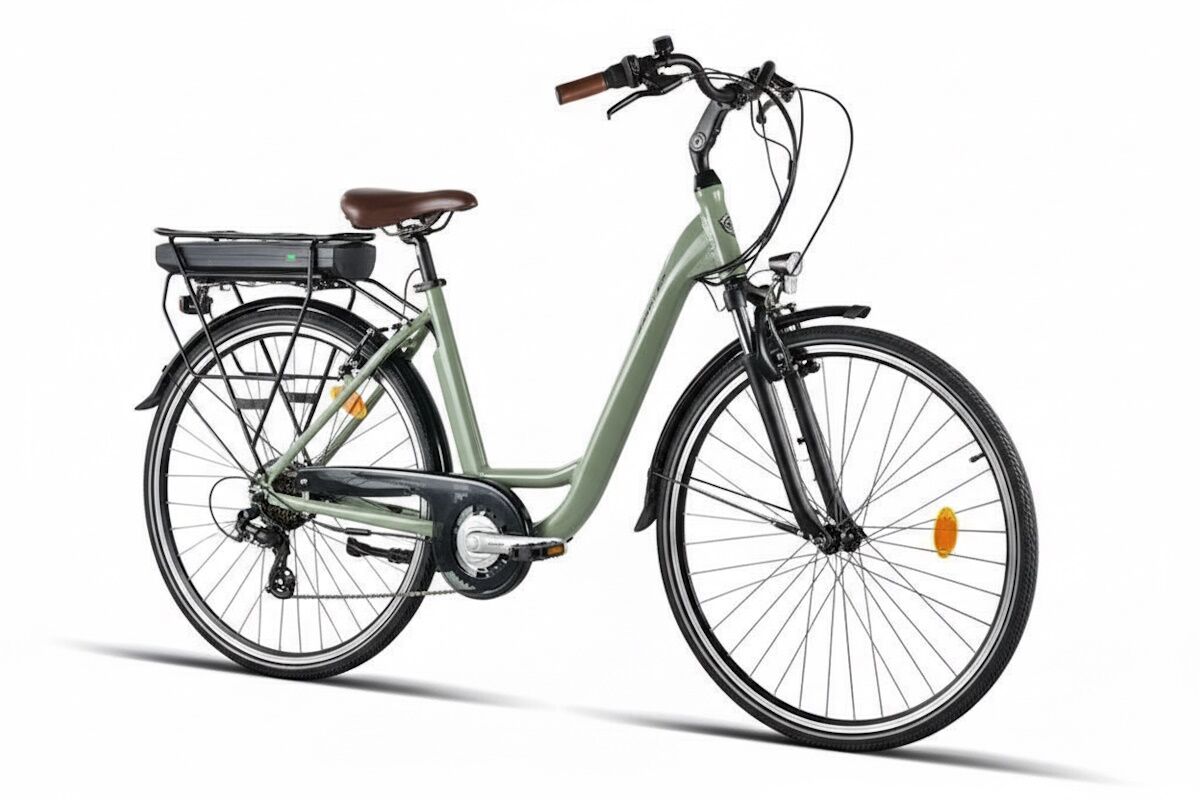 Ebike JL‑Wenti Aluminio motor 250W Altus 7v - Imagen 6