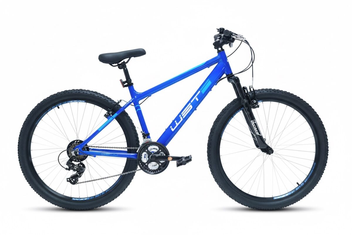 Bicicleta MTB WST Cosmo 27,5 pulgadas Aluminio Shimano 16 vel | Talla 15 y 17 - Imagen 8