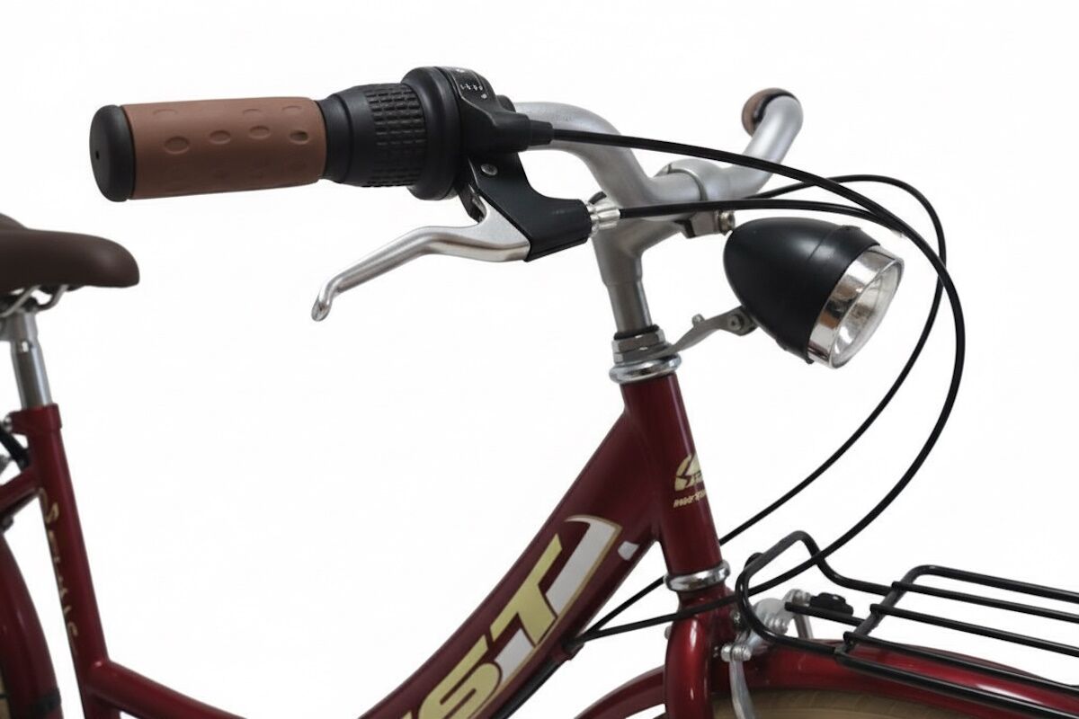 Paseo 26″ vintage | WST Sousse | 6 velocidades + accesorios - Imagen 5