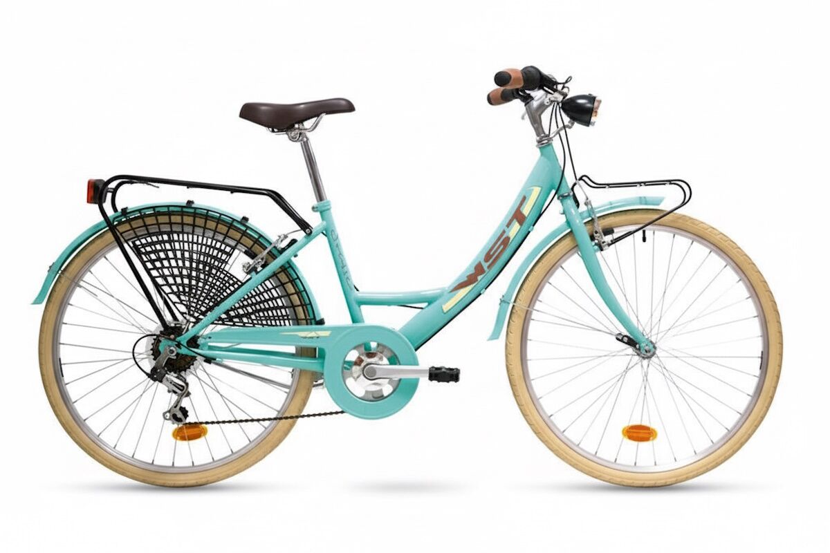 Paseo 26″ vintage | WST Sousse | 6 velocidades + accesorios - Imagen 10