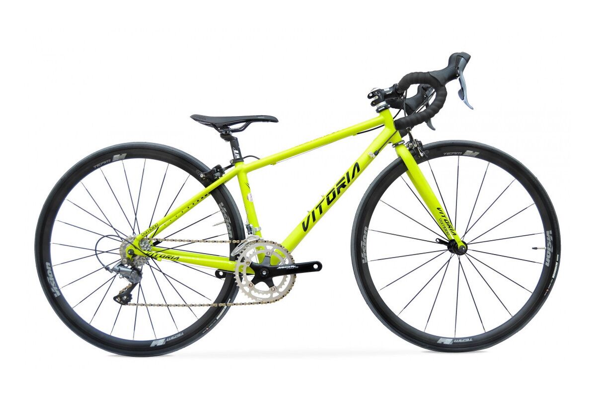 Bicicleta Vitoria BAMBINO 700 - Imagen 3