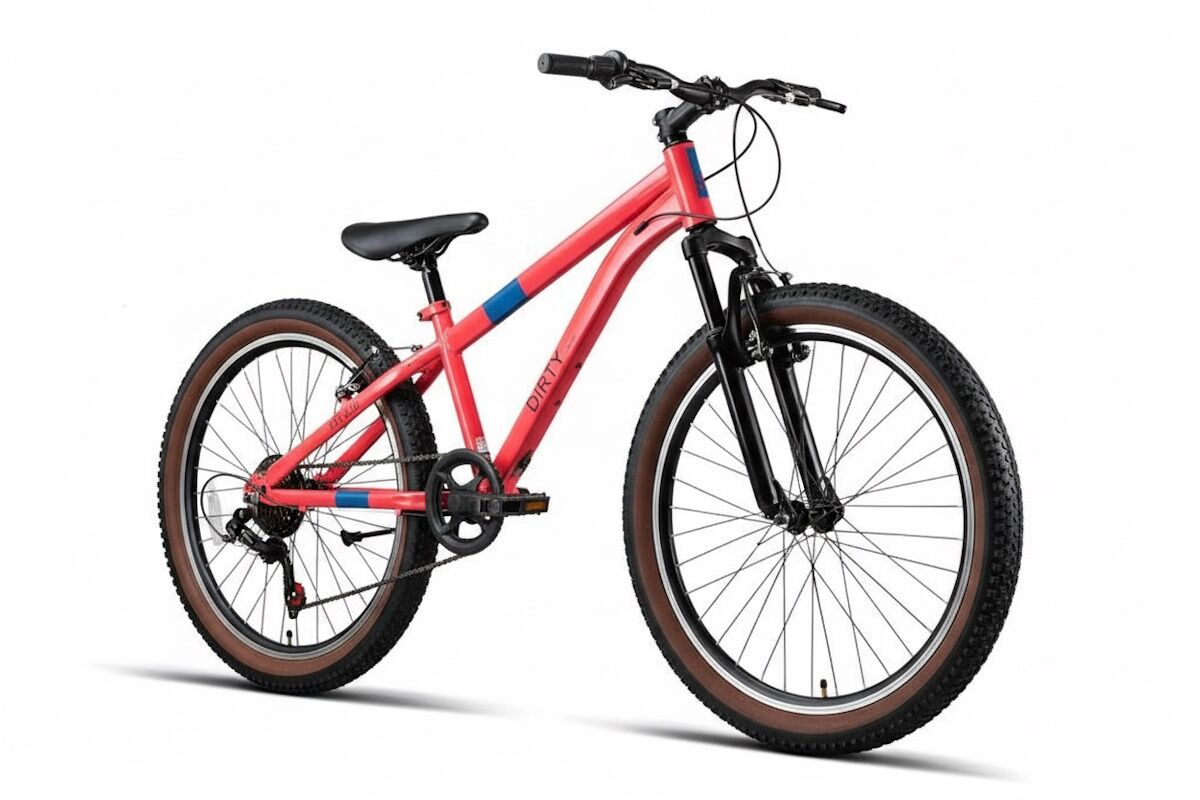 MTB infantil JL Wenti FAT200 24" 7v ruedas fat 2.40 - Imagen 6