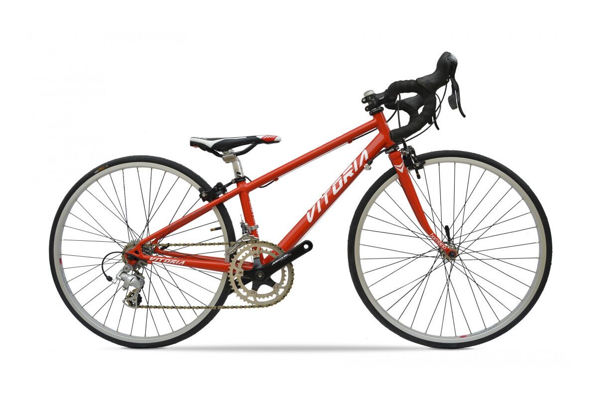 Bicicleta Vitoria BAMBINO 700 - Imagen 2