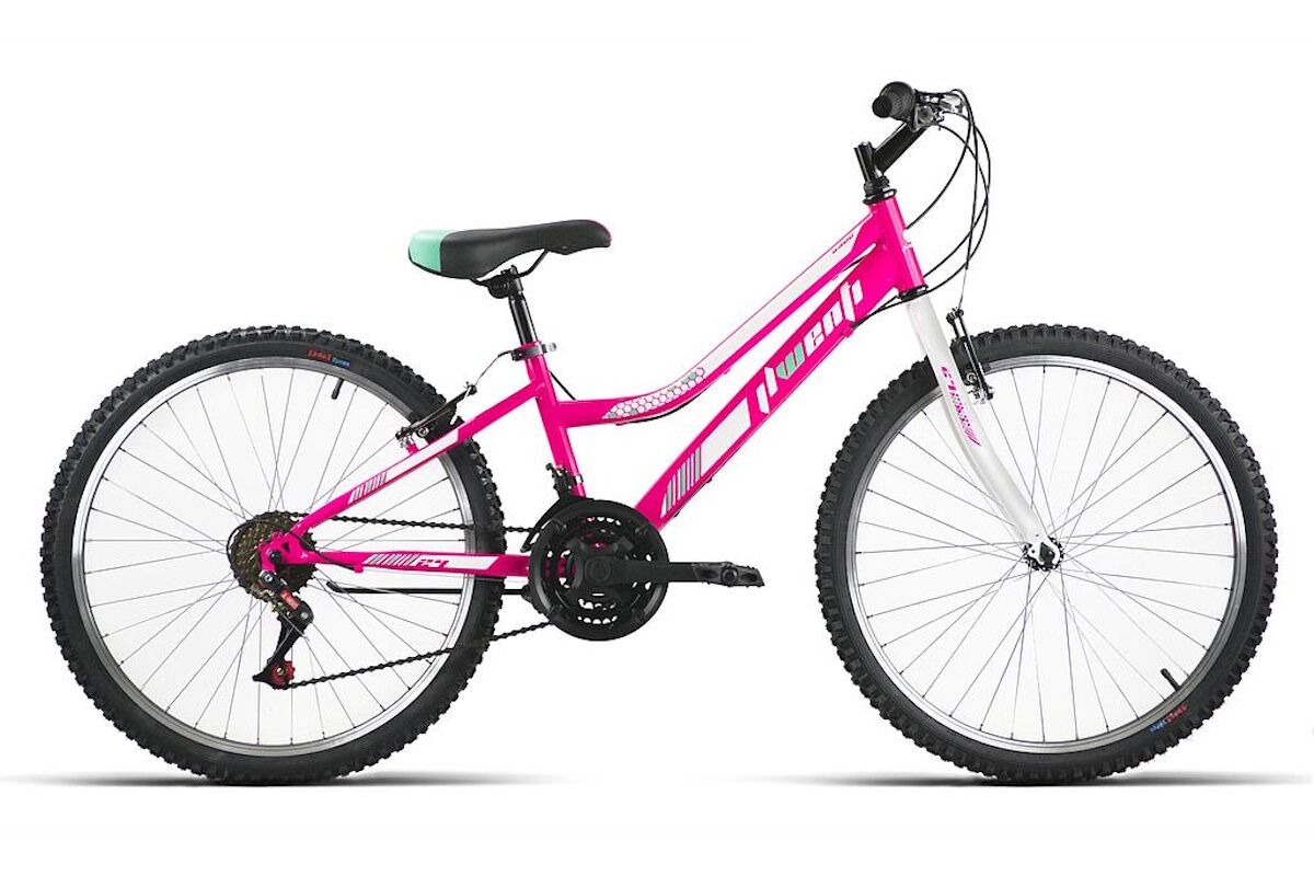 Bicicleta Juvenil JL Wenti 24" Acero Eco - Barra Alta MTB o Barra Baja Paseo - Imagen 2