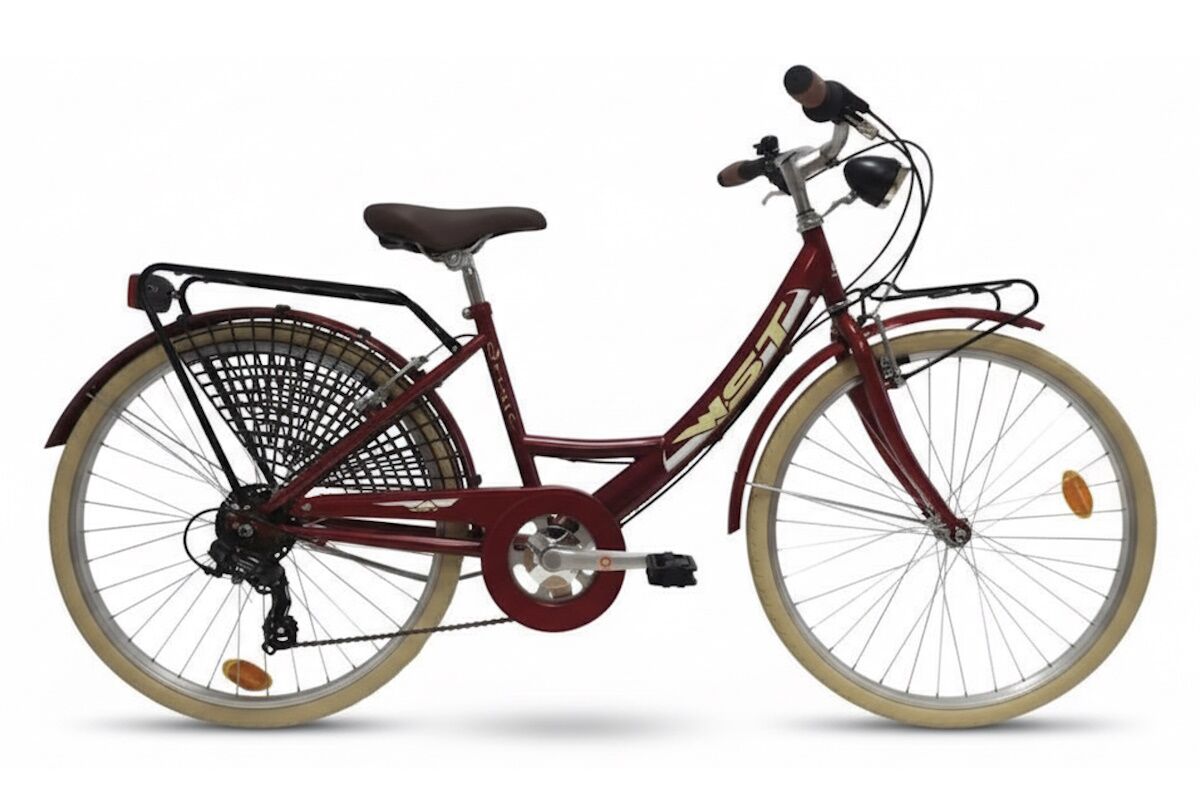 Paseo 26″ vintage | WST Sousse | 6 velocidades + accesorios - Imagen 2