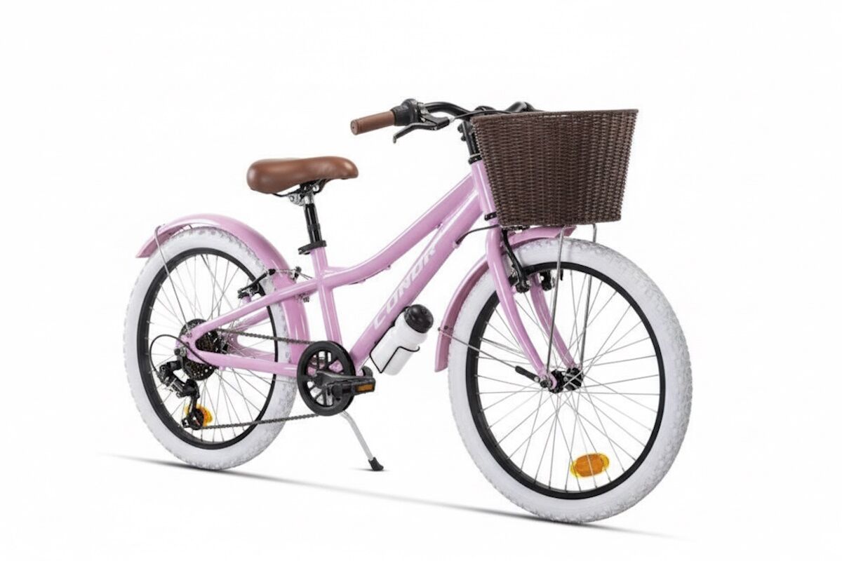 Bicicleta Conor Halebop 20 rosa con sillín clásico, cesta delantera y 6 velocidades